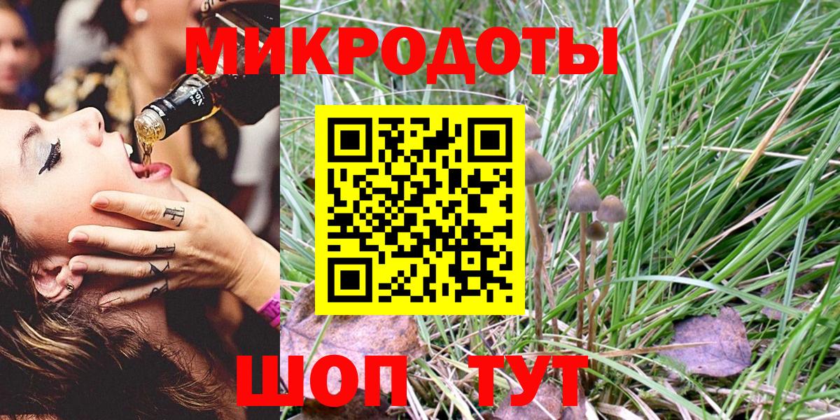 Галлюциногенные грибы Psilocybine cubensis Дедовск