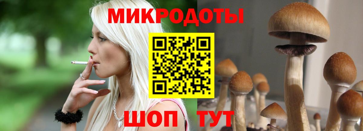 Галлюциногенные грибы Cubensis  Вход с VPN  Дедовск 
